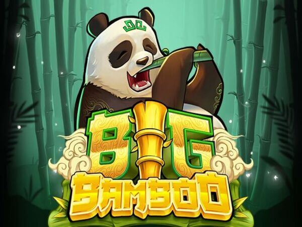 ph 365 casino login download